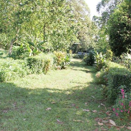 Sao Jose Bema Farmヴィラ エクステリア 写真
