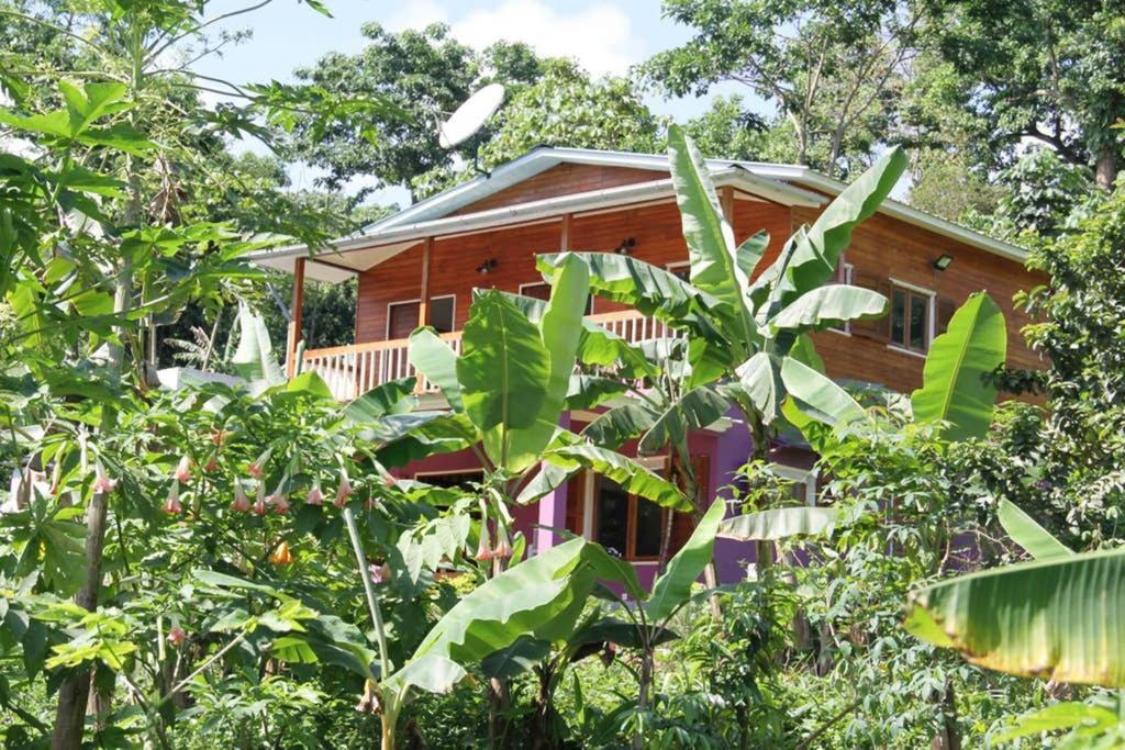 Sao Jose Bema Farmヴィラ エクステリア 写真