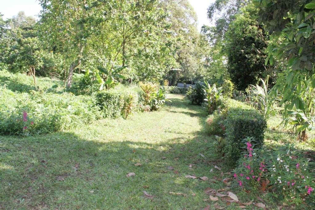Sao Jose Bema Farmヴィラ エクステリア 写真
